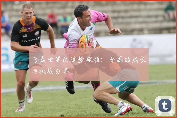 飞盘世界的追梦旅程：李磊的成长与挑战分享