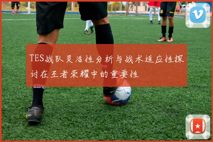 TES战队灵活性分析与战术适应性探讨在王者荣耀中的重要性