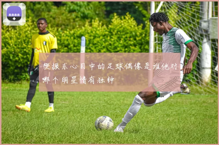 樊振东心目中的足球偶像是谁他对哪个明星情有独钟