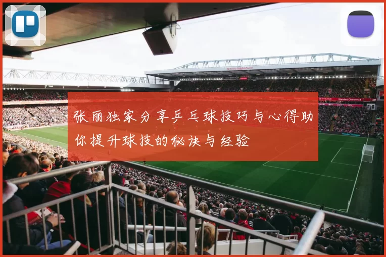张丽独家分享乒乓球技巧与心得助你提升球技的秘诀与经验