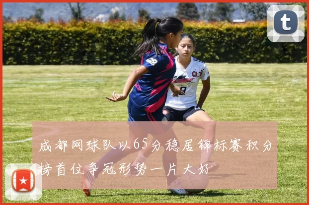 成都网球队以65分稳居锦标赛积分榜首位争冠形势一片大好