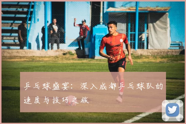 乒乓球盛宴：深入成都乒乓球队的速度与技巧之旅