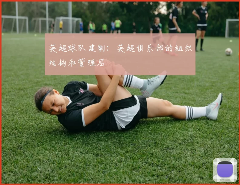 英超球队建制：英超俱乐部的组织结构和管理层
