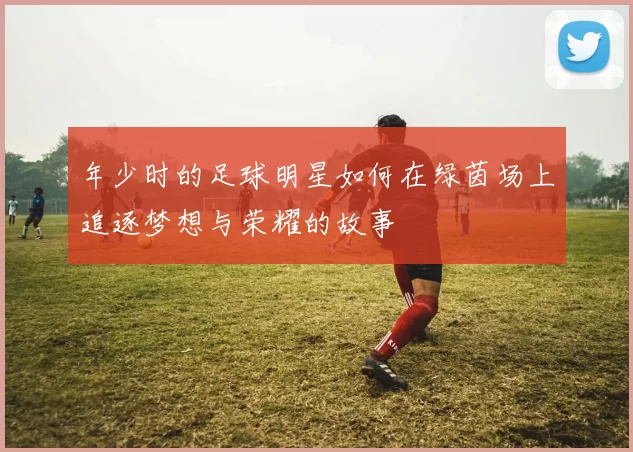 年少时的足球明星如何在绿茵场上追逐梦想与荣耀的故事