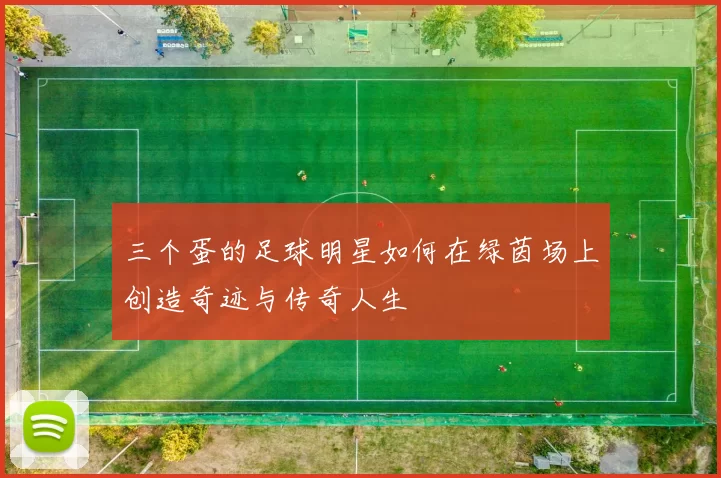 三个蛋的足球明星如何在绿茵场上创造奇迹与传奇人生