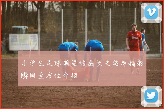 小学生足球明星的成长之路与精彩瞬间全方位介绍