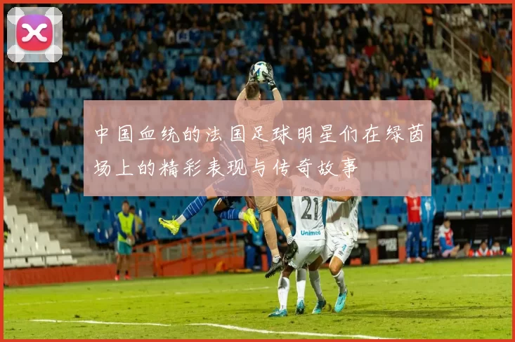 中国血统的法国足球明星们在绿茵场上的精彩表现与传奇故事