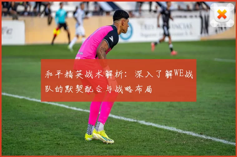 和平精英战术解析：深入了解WE战队的默契配合与战略布局