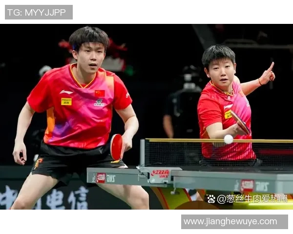 成都乒乓球队状态深度解析及各队员表现对比分析 成都乒乓球队状态深度解析及各队员表现对比分析