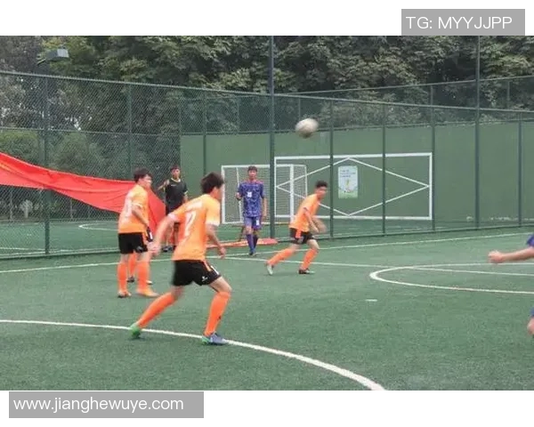 南京羽毛球队的蜕变之旅：从传统到现代的全新纪实探索